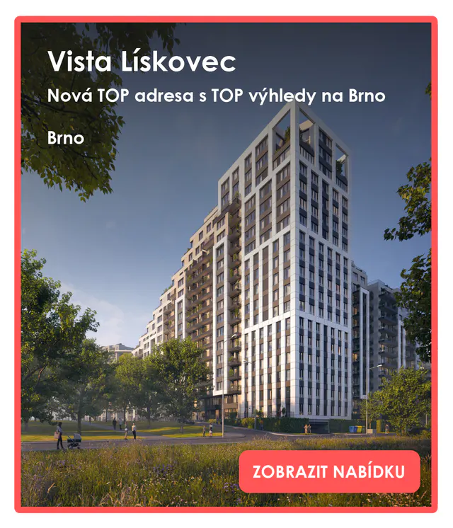 Vista