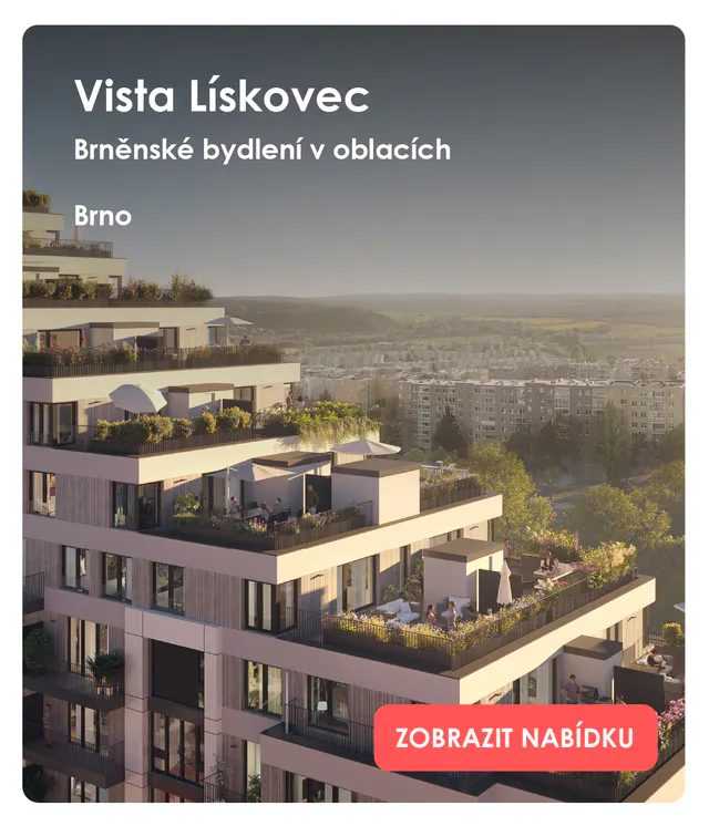 Vista