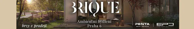 Brique